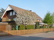 Zislo